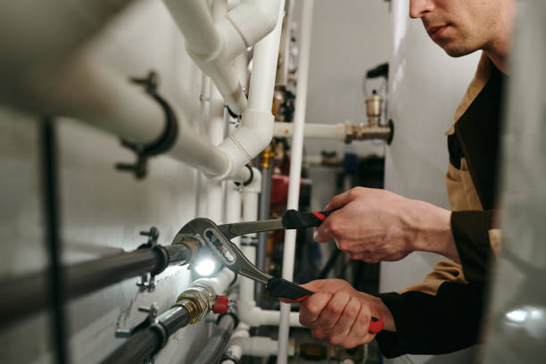 Best Clogged Drain Plumber  in Wolfe City, TX
