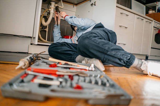 Best Plumbing Inspection Services  in Wolfe City, TX