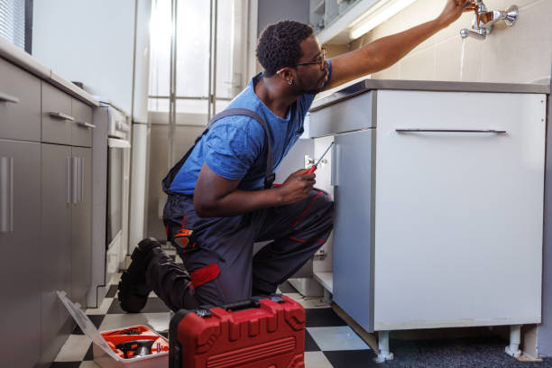 Best Plumbing Inspection Services  in Wolfe City, TX